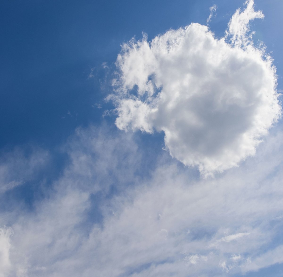 freelfb06csqs's tweet photo. Just enjoying the view of the clear blue sky and those wispy clouds. Perfect day for a break 😊 https://t.co/yTZjJEuOlI
