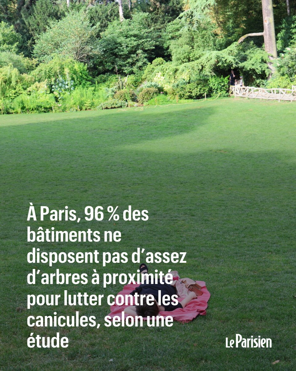 le_Parisien's tweet photo. À Paris, 96 % des bâtiments ne disposent pas d’assez d’arbres à proximité pour lutter contre les canicules, selon une étude
➡️ https://t.co/HCTmUcDKbr https://t.co/nqZwQhKXCP