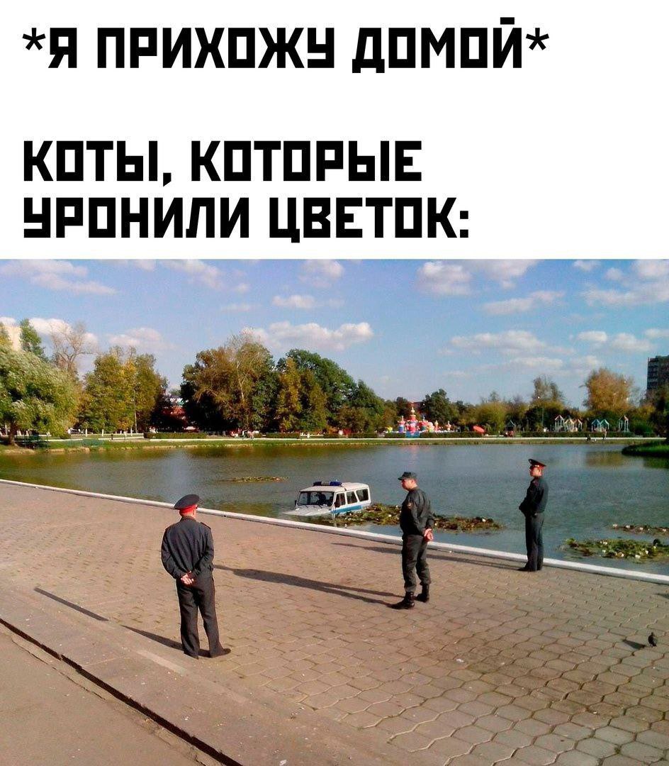 Джулик tweet media