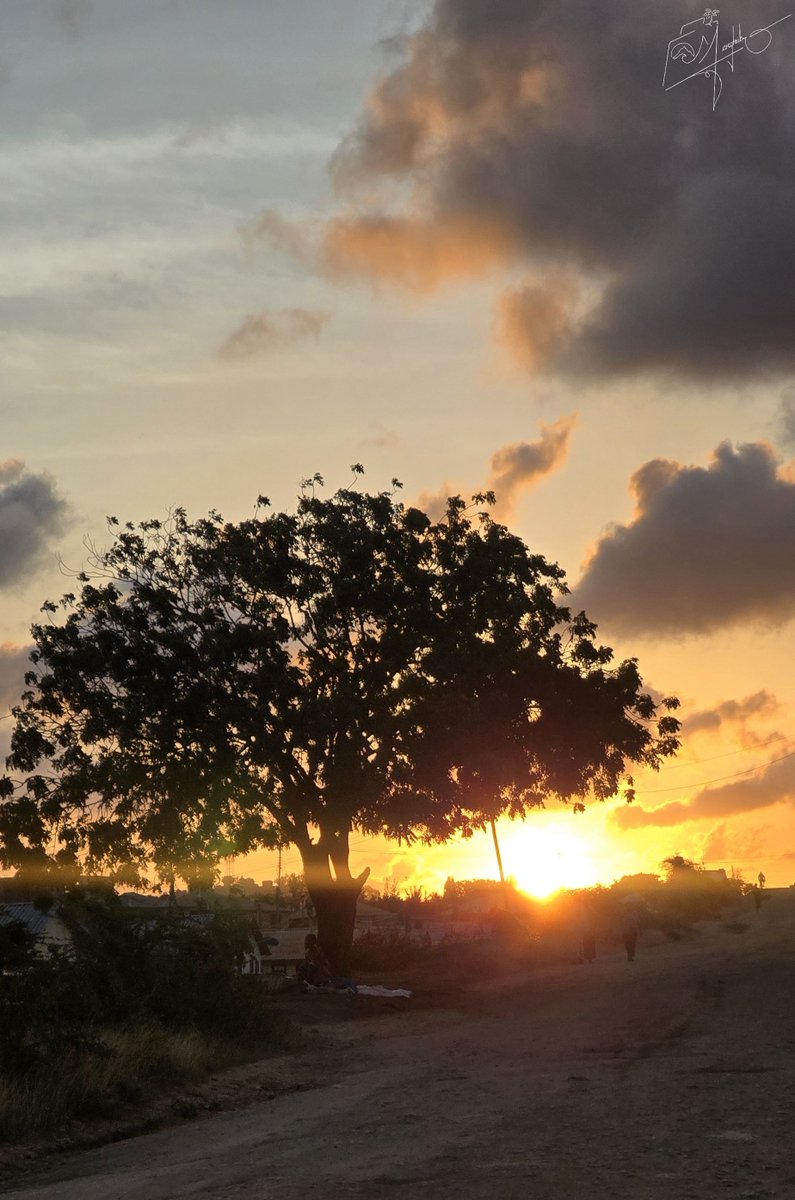 sheikhmargub's tweet photo. I wasn't looking for a sunset this evening.
A quick detour through Kiembeni gave me one anyway. 🌅
📍Kiembeni, Mombasa 🇰🇪 https://t.co/GhG0jWykwy