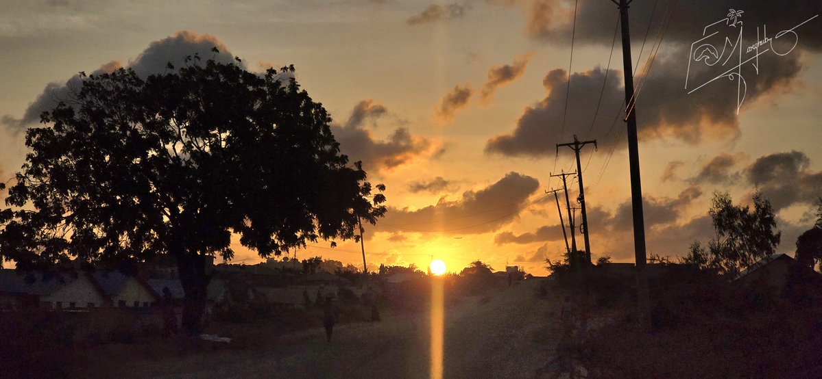 sheikhmargub's tweet photo. I wasn't looking for a sunset this evening.
A quick detour through Kiembeni gave me one anyway. 🌅
📍Kiembeni, Mombasa 🇰🇪 https://t.co/GhG0jWykwy