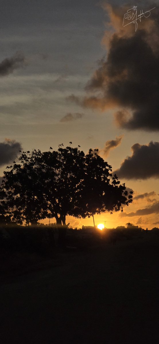 sheikhmargub's tweet photo. I wasn't looking for a sunset this evening.
A quick detour through Kiembeni gave me one anyway. 🌅
📍Kiembeni, Mombasa 🇰🇪 https://t.co/GhG0jWykwy