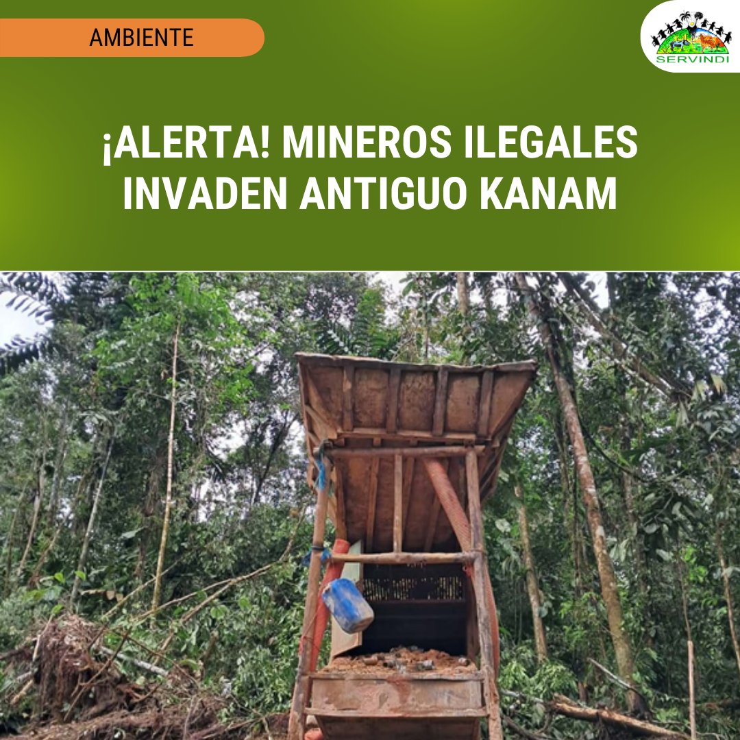Servindi's tweet photo. 🇵🇪 #Perú La Junta Directiva de la Comunidad Nativa Antiguo Kanam denuncia la invasión de sus tierras tituladas por parte de mineros ilegales peruanos y ecuatorianos que buscan extraer oro con maquinaria pesada... → https://t.co/gUtYpx4c4M https://t.co/w9GpKqIqsy