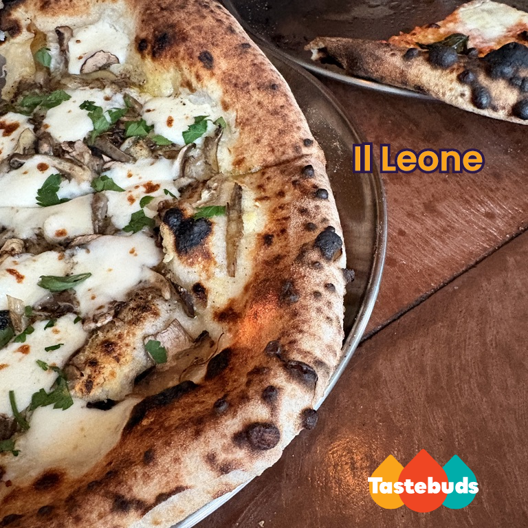 WTastebudsapp's tweet photo. Some NYC Italian favorites

Ci Siamo - Gnocco fritto, calamari
Rosticceria Evelina - Brussels Sprouts & Tuscan kale Salad
Francie - Dry-Aged Crown of Duck
il Leone - Mushroom pizza 

Find or keep track of your favs on Tastebuds

#ReliableFoodieFriends #Tastebuds #FoodieAdventures #RestaurantReferrals