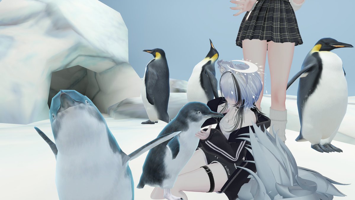 SakuNAT_'s tweet photo. しっぽもふもふでかわいい https://t.co/dp9pKCtO1Y