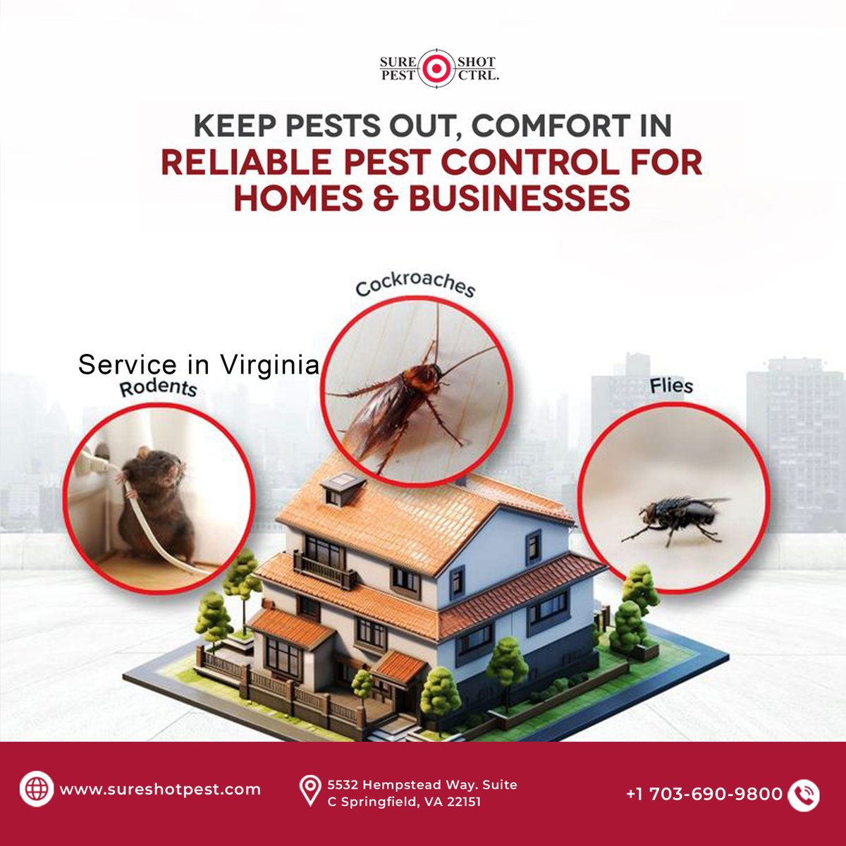 sure_shotpest's tweet photo. Pest Problems? Not Anymore.
Seeing rodents, cockroaches, or flies around your home or business in Springfield, VA? Fast. Reliable. Professional. Keep pests out and comfort in today.
Call US: +1 703-690-9800
https://t.co/UWlRmw1GA8
#SpringfieldVA #PestControl #RodentControl https://t.co/lA31BilBh1