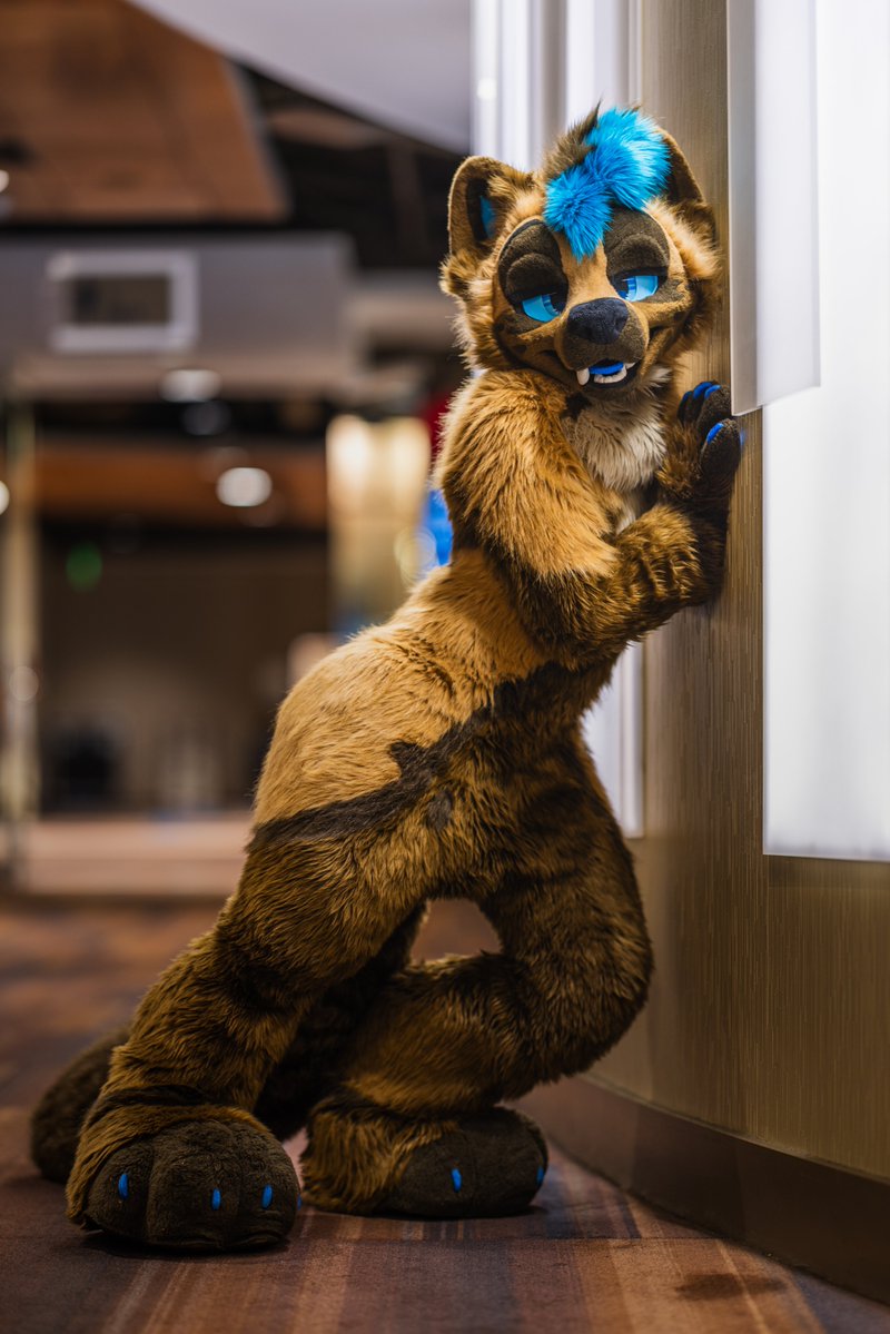 russkcat's tweet photo. just gotta... STRETCHHH... real quick ;3
#fursuitfriday https://t.co/lBVibtLwDC