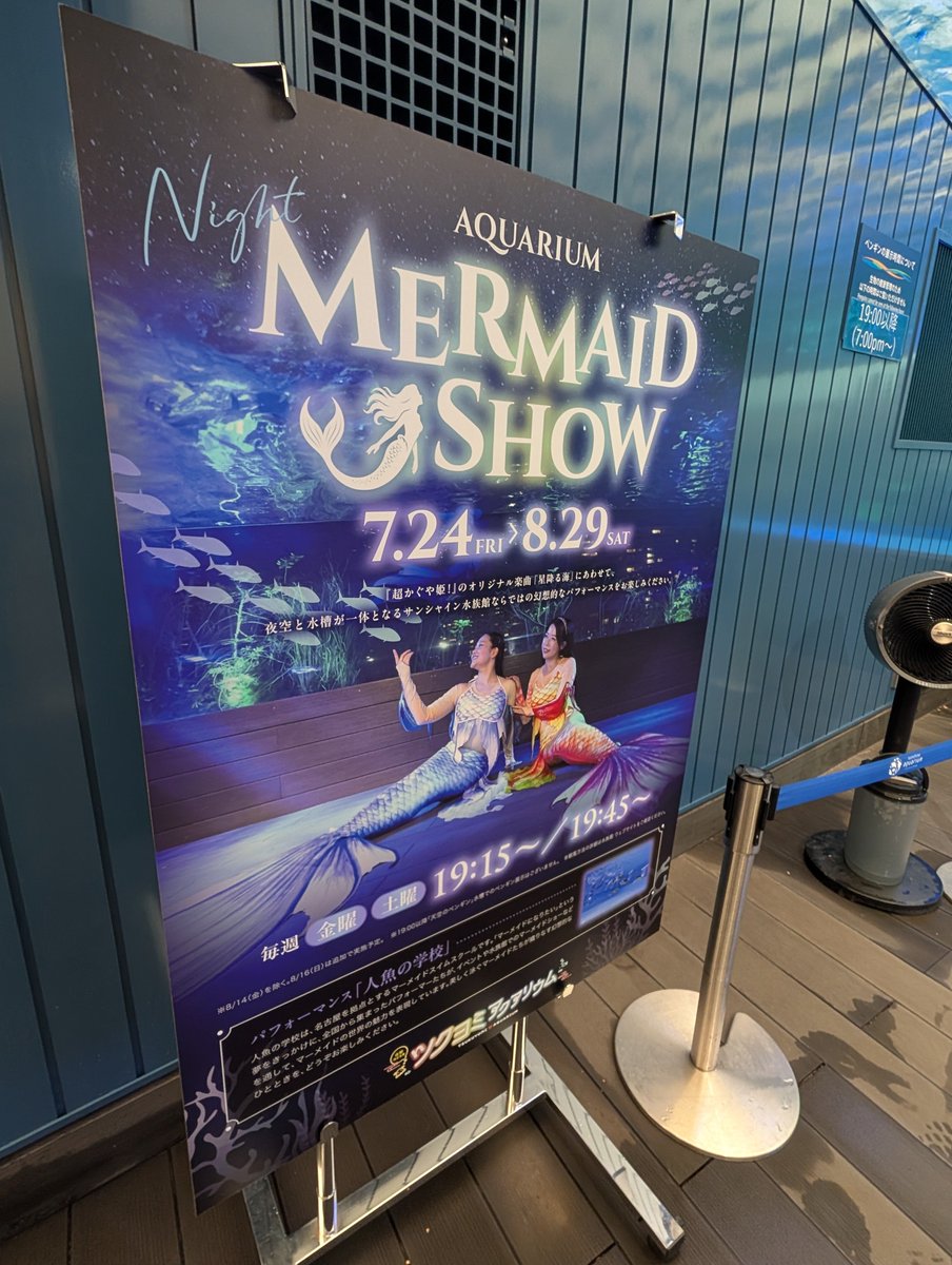 _1kakeru10_'s tweet photo. サンシャイン水族館のナイトマーメイドショー🧜‍♀️

あいにく、雷雨の影響で1回目公演は中止となりましたが、2回目公演は実施いたしました

ショーやグリーティング中にお客様から漏れ出る「すげえ、、、」に、ニヤニヤしてしまいました！！🫣 

早く8/1にならないかなぁ〜🤭🤭 https://t.co/UjcCZZGotE