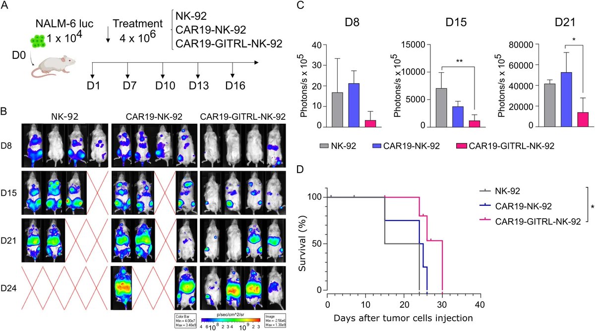 LabWaggoner's tweet photo. Coexpression of GITRL confers resistance to Treg cell-mediated immunosuppression to anti-CD19 CAR-NK cells @FrontiersIn 
https://t.co/4814GbgEER https://t.co/E8W8FCsMan