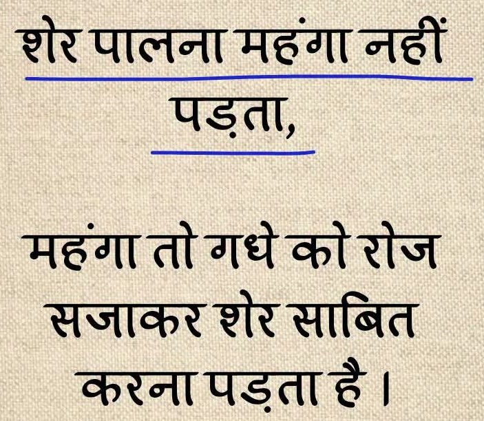 Knit_India's tweet photo. @SupriyaShrinate https://t.co/c03bcaCSuv