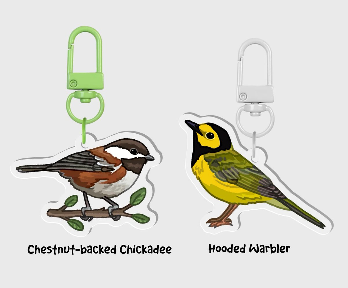 MainelyNature's tweet photo. Finished the first batch of keychain commissions!! Very happy with them🥹
https://t.co/TxGzY1KWwR if you'd like your own, I have just one slot atm!

#customkeychains #birding #wrentit #chickadee #warbler #pigeon #towhee https://t.co/t3VQ3mAjUL
