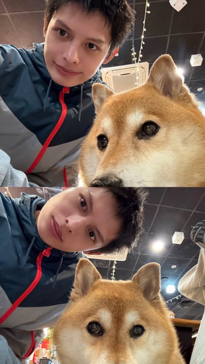martinedspark's tweet photo. #cosd #CoerSelcaDay 🐕🐈 https://t.co/0T5gnIZUA1