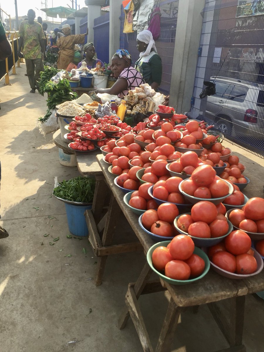 jujufilms's tweet photo. Tomatoes https://t.co/XtCgJnWChF