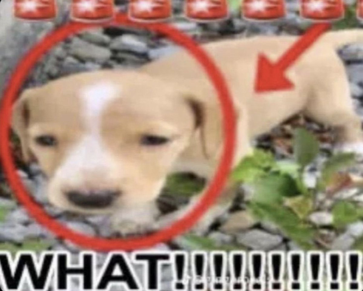 Cannibalaeu's tweet photo. my dad js texted me that i am super rude to him and mom and that hes not gonna think of my well being from now on,,, i didnt do ANYTHING theyre not even in the house????????????? https://t.co/m5oXODZDmk