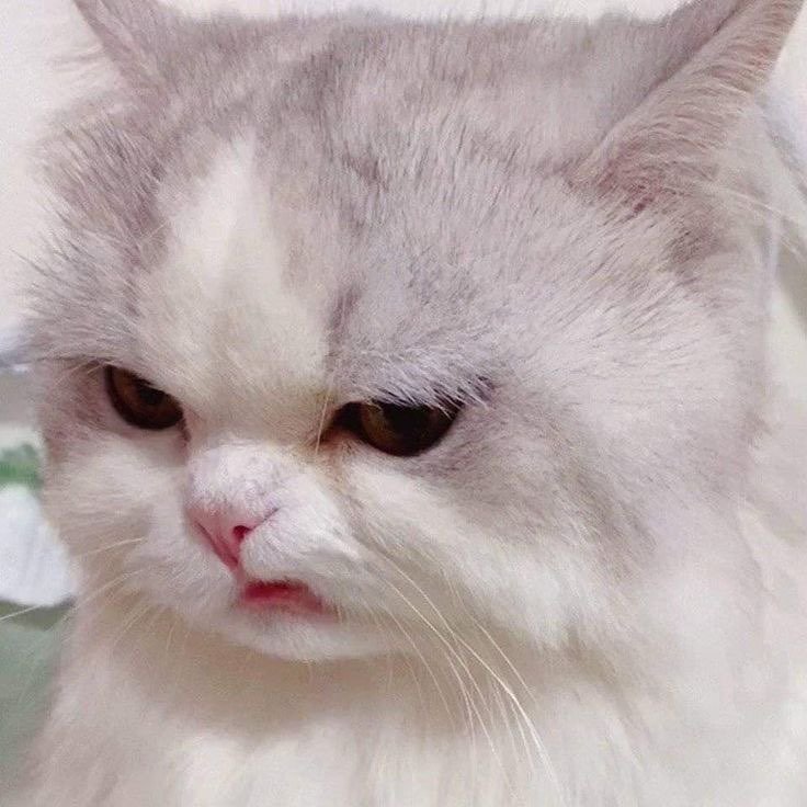 memer14m's tweet photo. Sometimes i hate ai https://t.co/oqBqBlDk5f