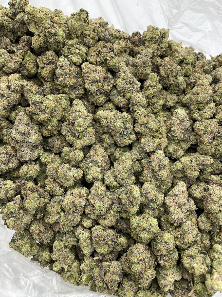 StonerPacksLA's tweet photo. Rainberry Mac indoors 🌈
•
•
•
#cannabis #cannabiscommunity #weed  #cannabisculture #sativa #marijuana #weedtw https://t.co/lAeO77RoTv