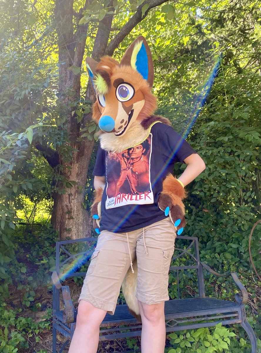 TinnatuPaws's tweet photo. This beautiful fox premade is looking for a home! How can you say no to such a sweet face?🦊🦊🦊

Full details below!⬇️ https://t.co/94waUyeik1