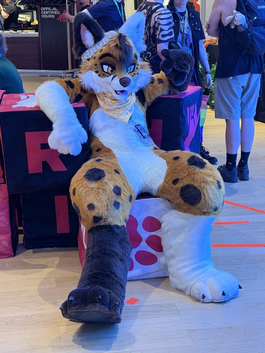 CookieTheFox2's tweet photo. Chilling at awoostria this #fursuitfriday

📸 @ArticuSnep https://t.co/pKh67wEv9f