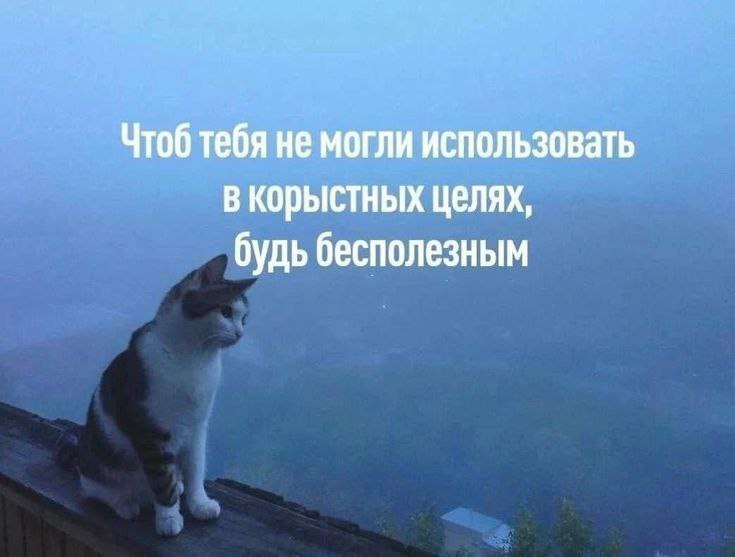 catsilcats's tweet photo. лайфхак на жизнь https://t.co/Zc7C2Njz1O