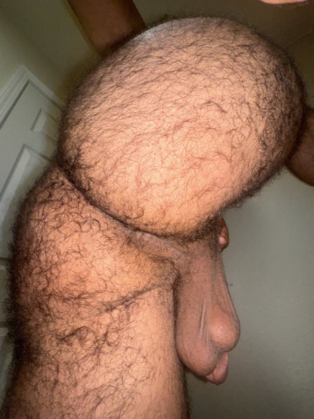 thehairiestbro's tweet photo. I just know he’s hairy af…… https://t.co/NLFgAd8k0M