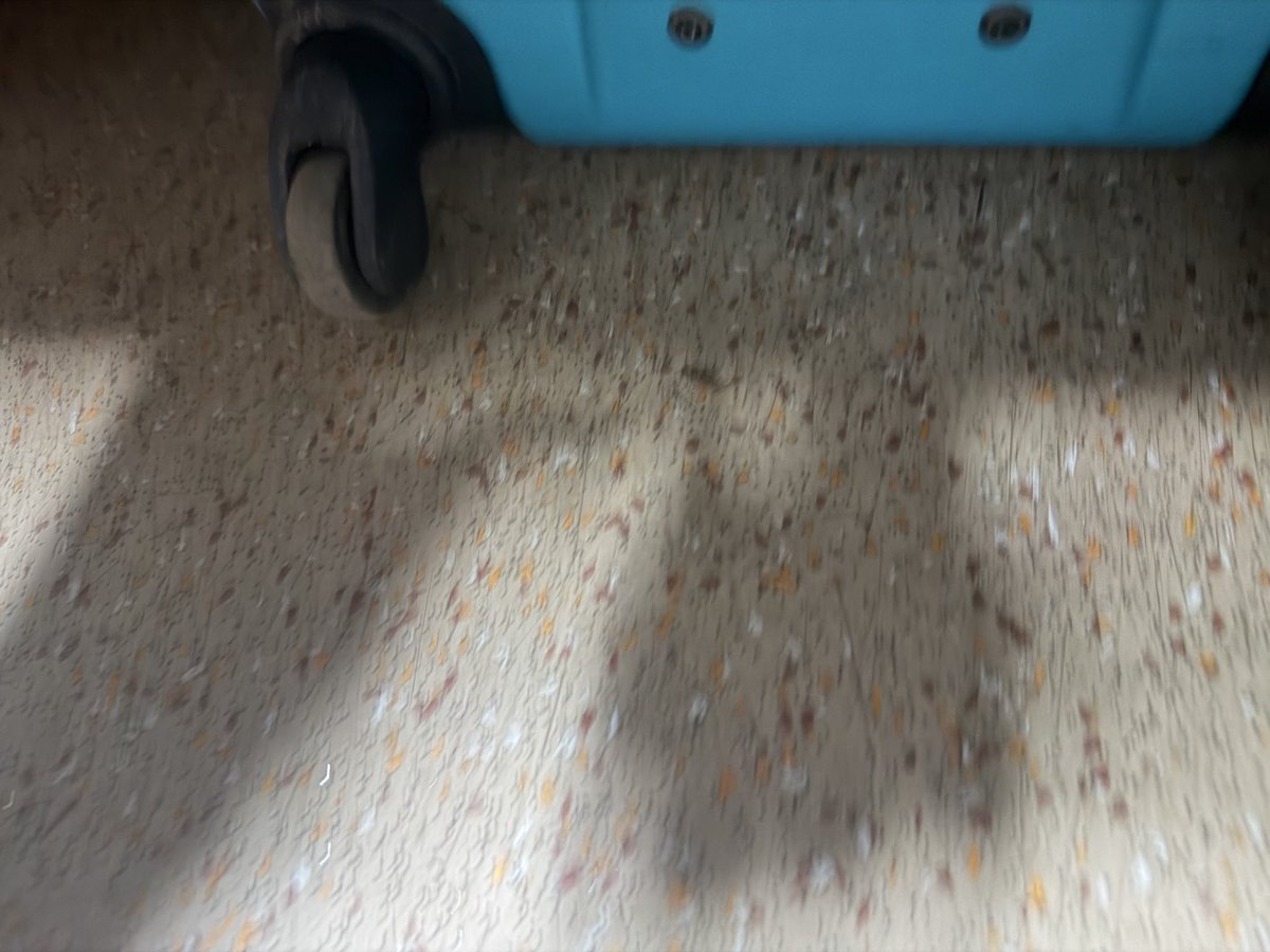 cabishan's tweet photo. Train No 20803 coach H1- birth A4 found cockroaches and insects. Full fumigation required. We are in first class or third class @RailMinIndia @RailwaySeva @AshwiniVaishnaw @WesternRly pics of evidence https://t.co/PIcQbw5qHu
