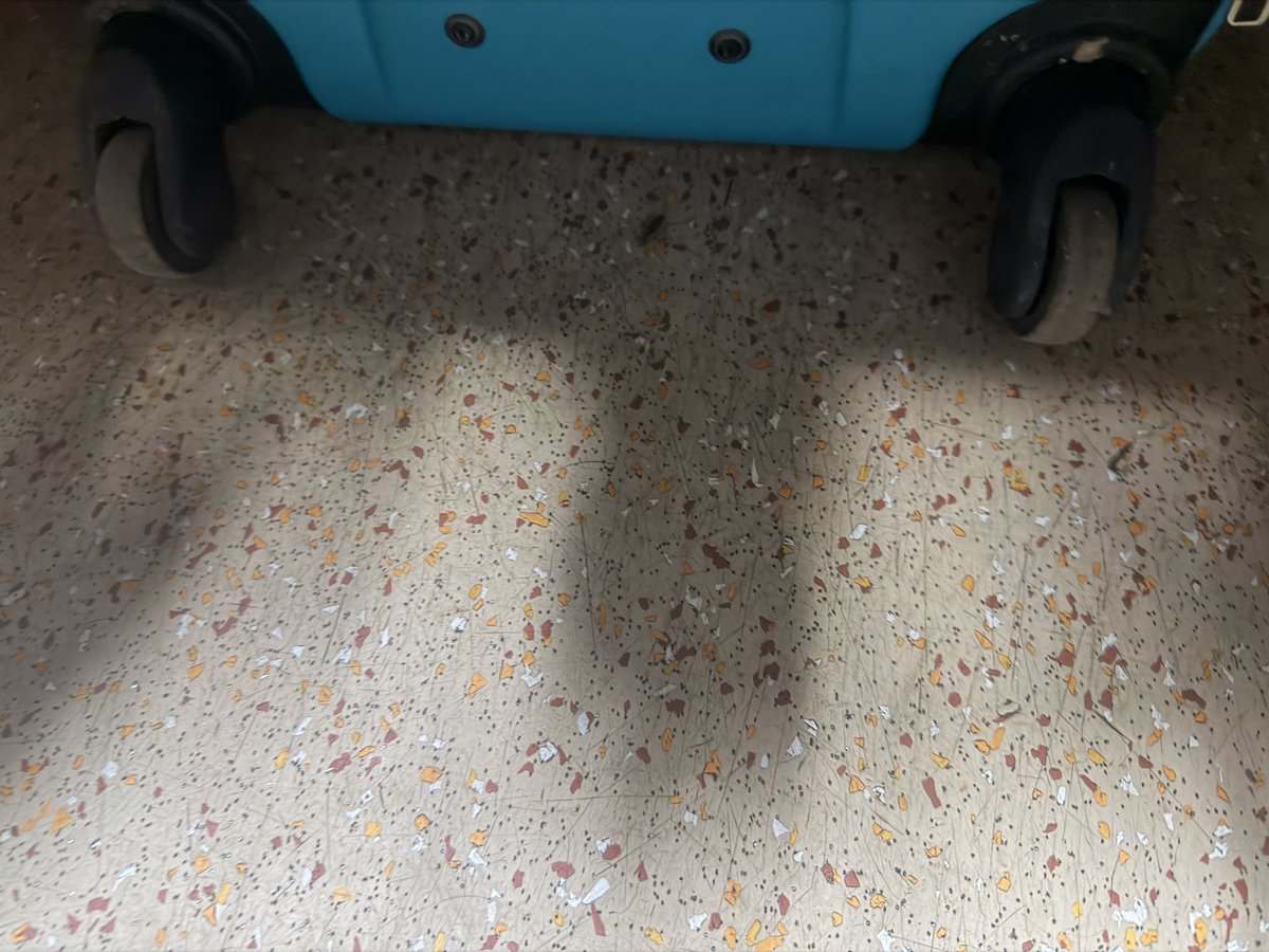 cabishan's tweet photo. Train No 20803 coach H1- birth A4 found cockroaches and insects. Full fumigation required. We are in first class or third class @RailMinIndia @RailwaySeva @AshwiniVaishnaw @WesternRly pics of evidence https://t.co/PIcQbw5qHu