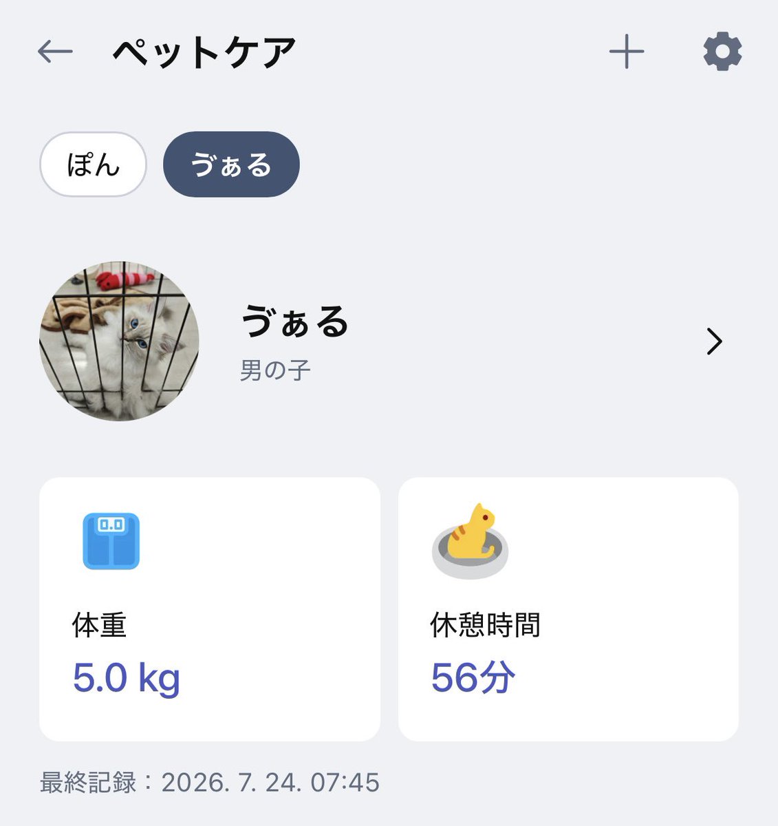 Funya2_Pon's tweet photo. 生後9ヶ月を迎えたゔぁるくん
体重5.0kgになりむくむく成長中です𛰙᭜𖫴𖫰𖫱𖫳𖫲𖫲𖫳𖫴𖫰𖫱꛰ ᭜𖫴𖫰𖫱𖫳𖫲𖫲𖫳𖫴𖫰𖫱꛰ಣﾆｬ https://t.co/C85birFug7