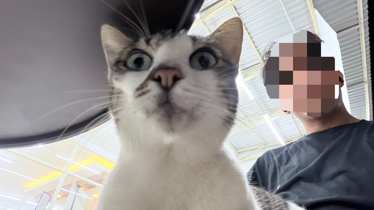 freakypossition's tweet photo. restnya besok saja mweheheh https://t.co/AE2Ihbol7U