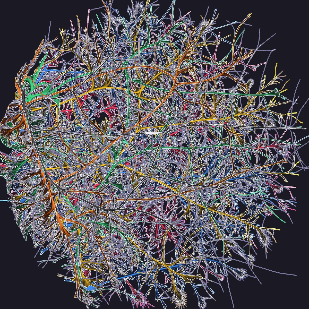 odd looking graph. everything is bundled. colorful edges. black background.