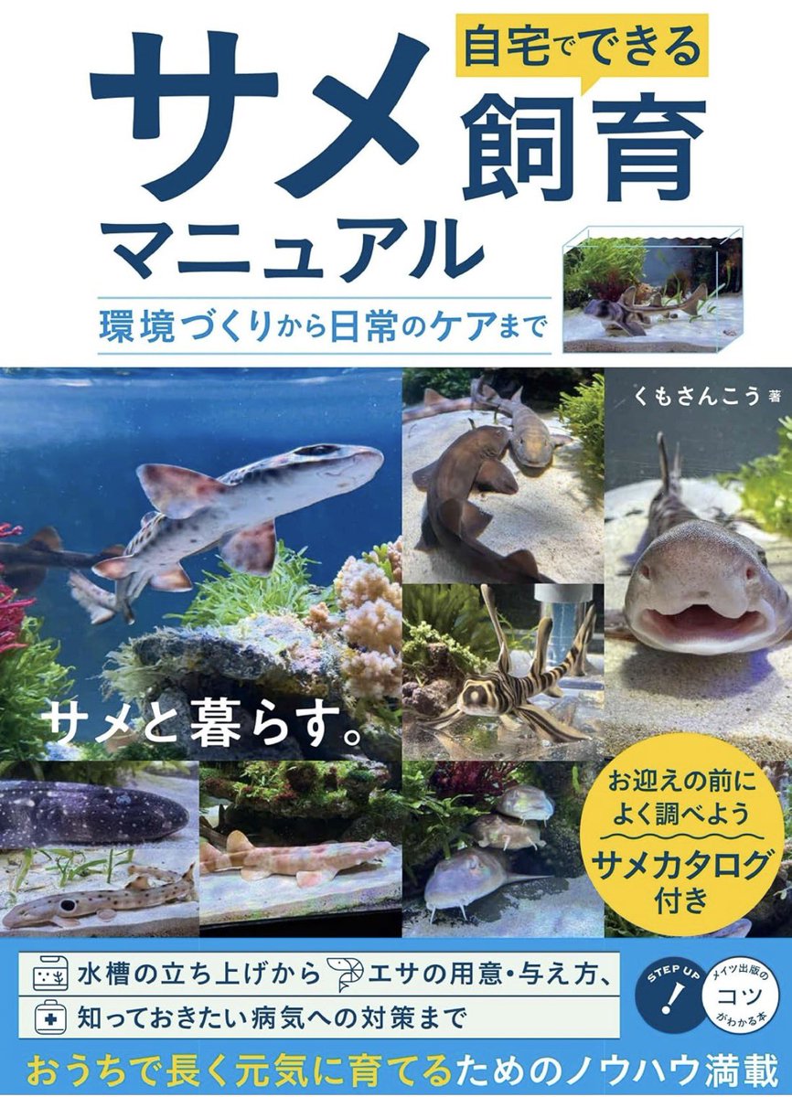 san_koh_kumo's tweet photo. ご報告: 
日本初となる小型のサメを終生飼育するための専門書を出版します。

おうちのサメたちと向き合いながら1人でこそこそ原稿を書き続けること3年、やっと本日校了いたしました。

そして今回大変ありがたいことに、日本水族館協会から書籍の推薦を頂きました。一冊あたり50円が協会に寄付され、水族館の教育機関としての活動に活用されます。

手に取っていただけたら嬉しいです...！

Amazon
https://t.co/ir2DJINpXN

楽天ブックス
https://t.co/9X004ieZ7h