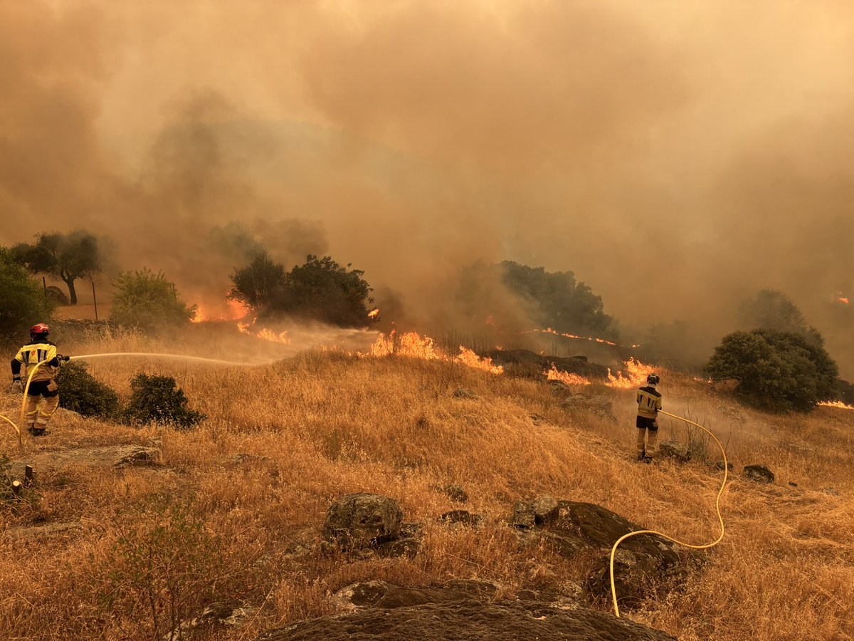 Juan13Navarro's tweet photo. El fuego vuela en Cebreros pero se consigue contener su avance hacia el pueblo, desde El Tiemblo. #IFBurgohondo https://t.co/8weDiuVYqB