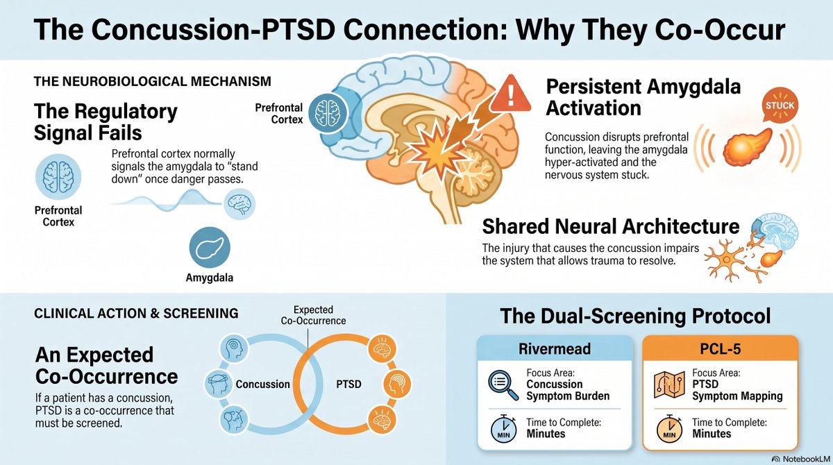 Atlas_adjust's tweet photo. Concussion does not just injure the brain. It injures the system that prevents PTSD from taking hold.

The prefrontal cortex normally regulates the amygdala's threat response — it provides the signal that says "the danger is over, you can stand down." When a concussion disrupts prefrontal function, that regulatory signal fails. The amygdala stays activated. Threat responses persist. The nervous system cannot return to baseline.

This is why concussion and PTSD co-occur so predictably: the concussion impairs the exact neural architecture that allows psychological trauma to resolve. One injury amplifies the other through a shared mechanism.

If your patient has a concussion, PTSD is not a possibility to consider. It is a co-occurrence to screen for. The Rivermead captures one. The PCL-5 captures the other. Both take minutes. Neither is optional.