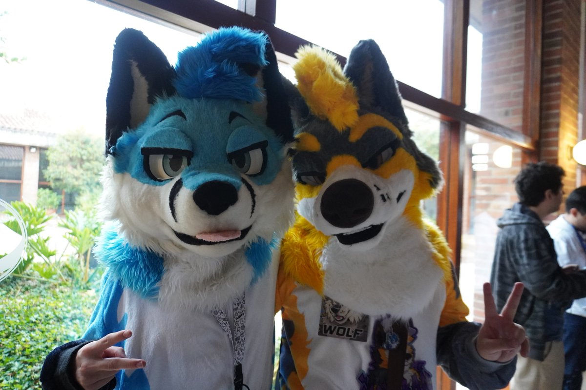 Wolfban_16's tweet photo. fursui fridai :3
Fucking love my Sweet Foxxo :3 https://t.co/Ow4kCvdA9M