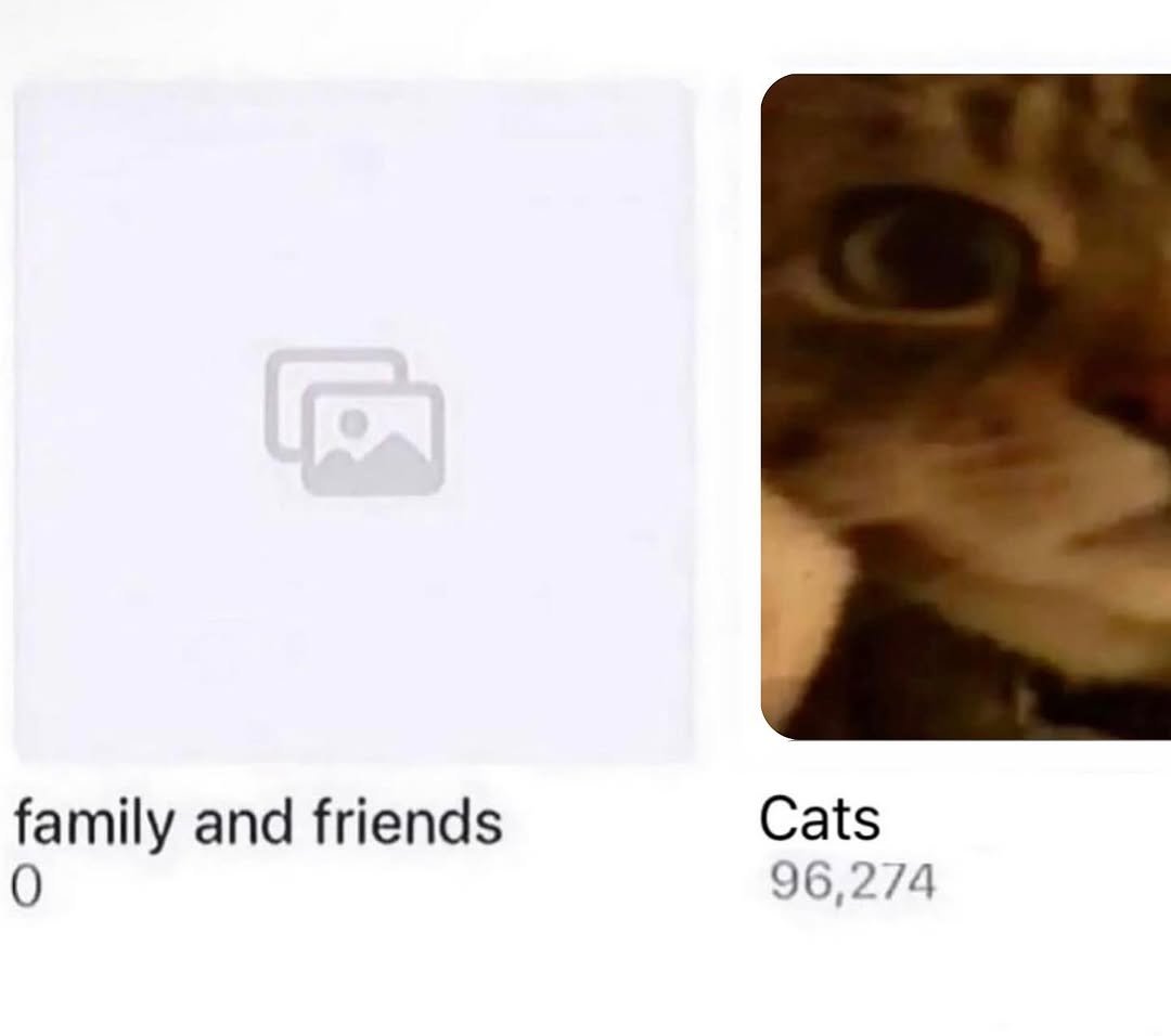 Catsillyness's tweet photo. https://t.co/IOygeJKSfz