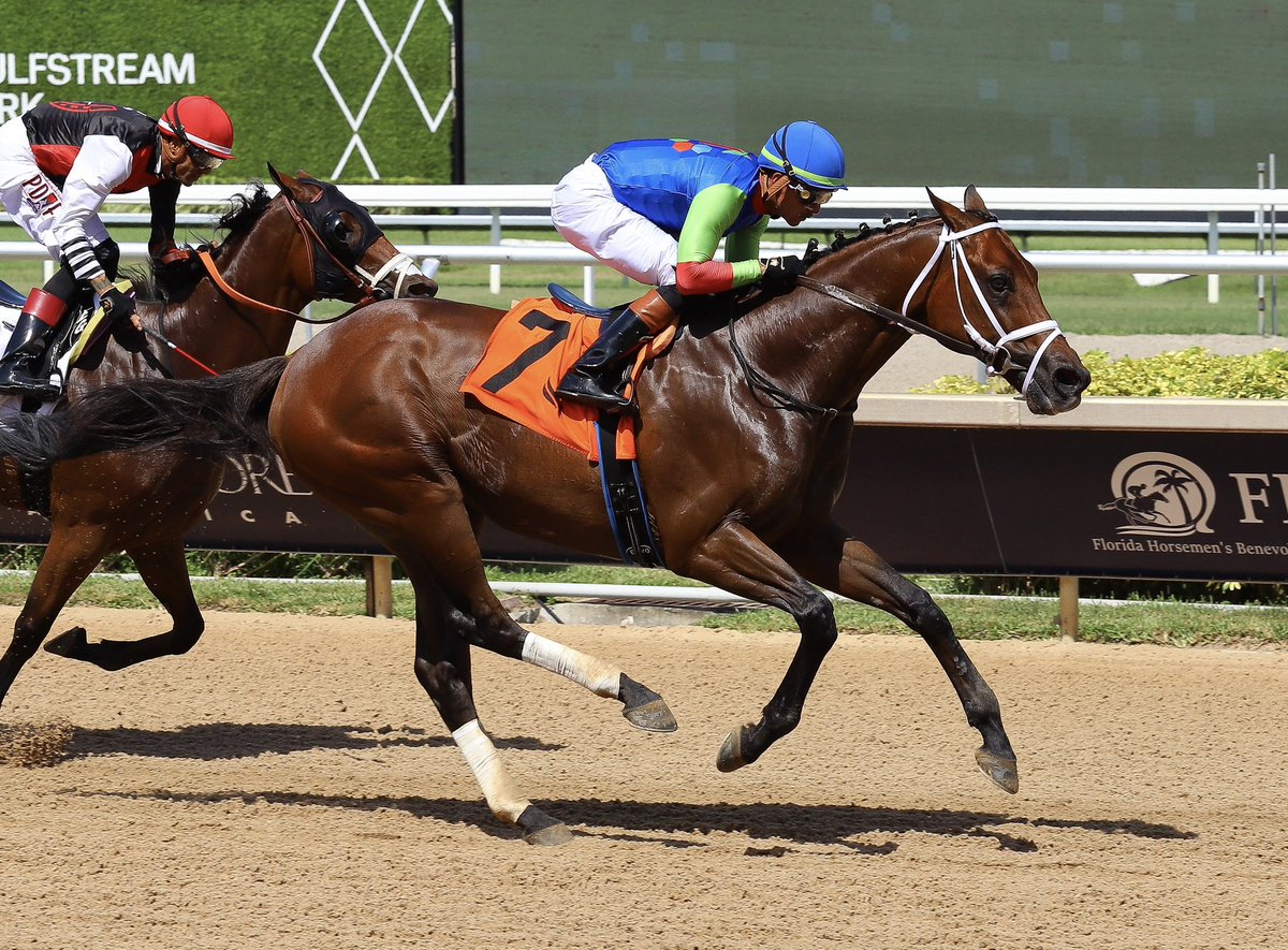 JFDAngelo's tweet photo. Brother Brad • Diego Herrera • Jose Francisco D’Angelo 

#GulfstreamPark | #RoyalPalmMeet | #HorseRacing https://t.co/97YXov4oeP