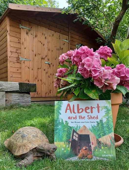 AlbertTortoise's tweet photo. Sheltering from a #storm, Albert gets locked in a #shed. Discover more in #ALBERTthetortoise picturebook ALBERT AND THE SHED. Available Now 10 #ALBERT #picturebooks, 3 #BoardBooks & #ActivityBook. https://t.co/sGYhBlFUhP
#tortoise #bookseries #garden #illustrated #storytime https://t.co/fVOPkIT7NX