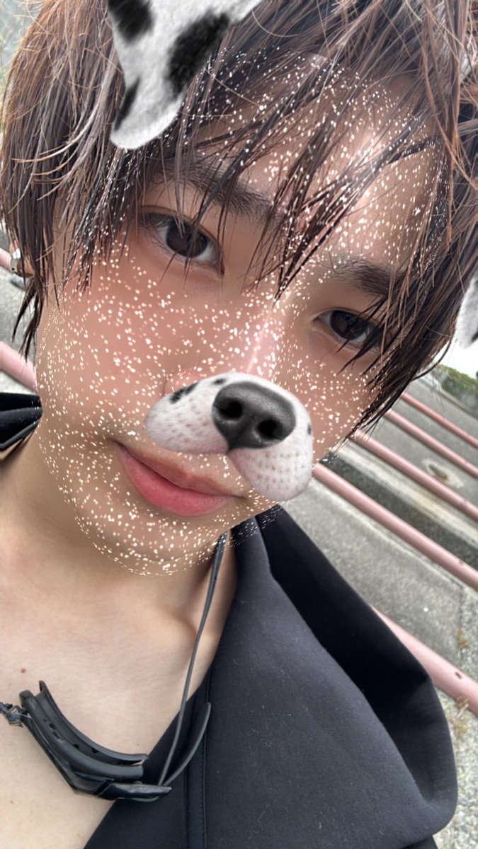 wacjwv's tweet photo. 確か去年の今ぐらいの写真〜
起きてる人、おやすみ〜🌙 https://t.co/UP5S0wlbTI