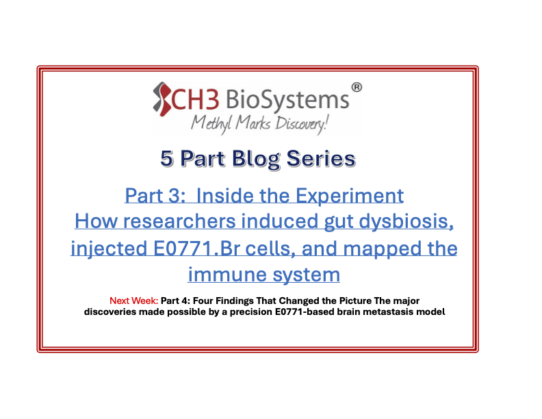 CH3BioSystems's tweet photo. Click here to read more: https://t.co/U3hVrV4R8J https://t.co/eHO85xdf65