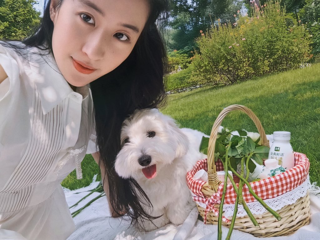 liuyifeifanclub's tweet photo. Satine Brand Ambassador Liu Yifei @yifei_cc 🥛💚 金典品牌代言人刘亦菲
#LiuYifei #刘亦菲 #劉亦菲 #CrystalLiu #LưuDiệcPhi #หลิวอี้เฟย #ЛюИфэй #유역비 #リウ・イーフェイ #YifeiLiu #Mulan #花木兰 #ADreamOfSplendor #MeetYourself #玫瑰的故事 #TheTaleOfRose #Satine #金典 #伊利 #Yili https://t.co/tl8EcyghJx