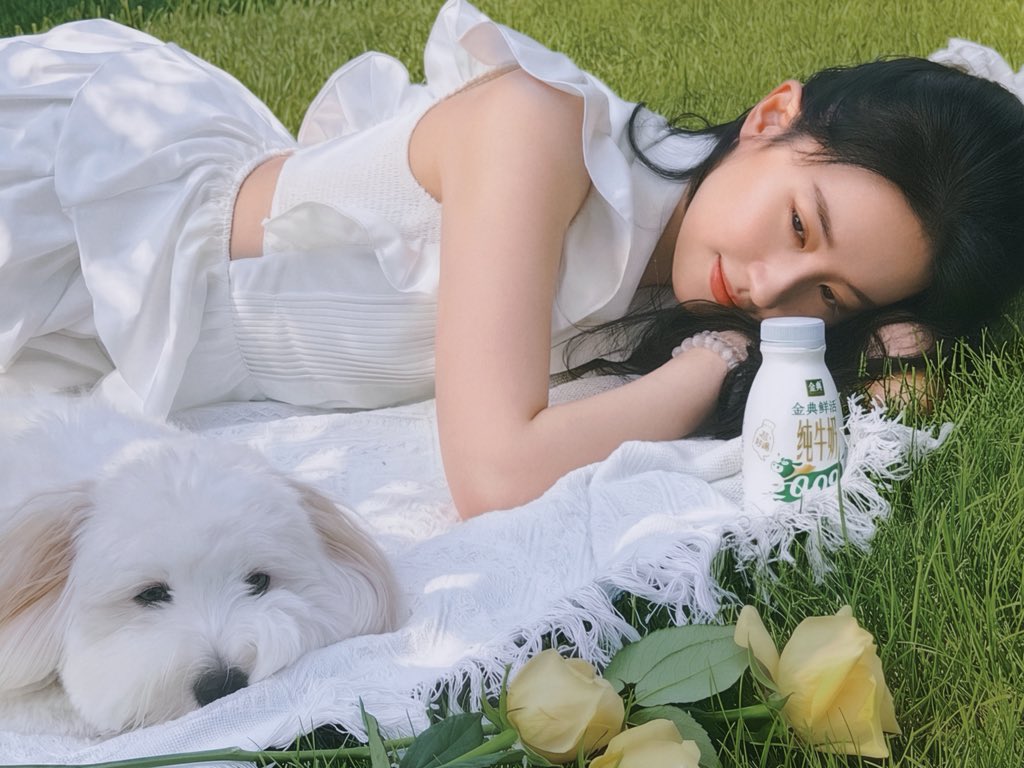 liuyifeifanclub's tweet photo. Satine Brand Ambassador Liu Yifei @yifei_cc 🥛💚 金典品牌代言人刘亦菲
#LiuYifei #刘亦菲 #劉亦菲 #CrystalLiu #LưuDiệcPhi #หลิวอี้เฟย #ЛюИфэй #유역비 #リウ・イーフェイ #YifeiLiu #Mulan #花木兰 #ADreamOfSplendor #MeetYourself #玫瑰的故事 #TheTaleOfRose #Satine #金典 #伊利 #Yili https://t.co/tl8EcyghJx