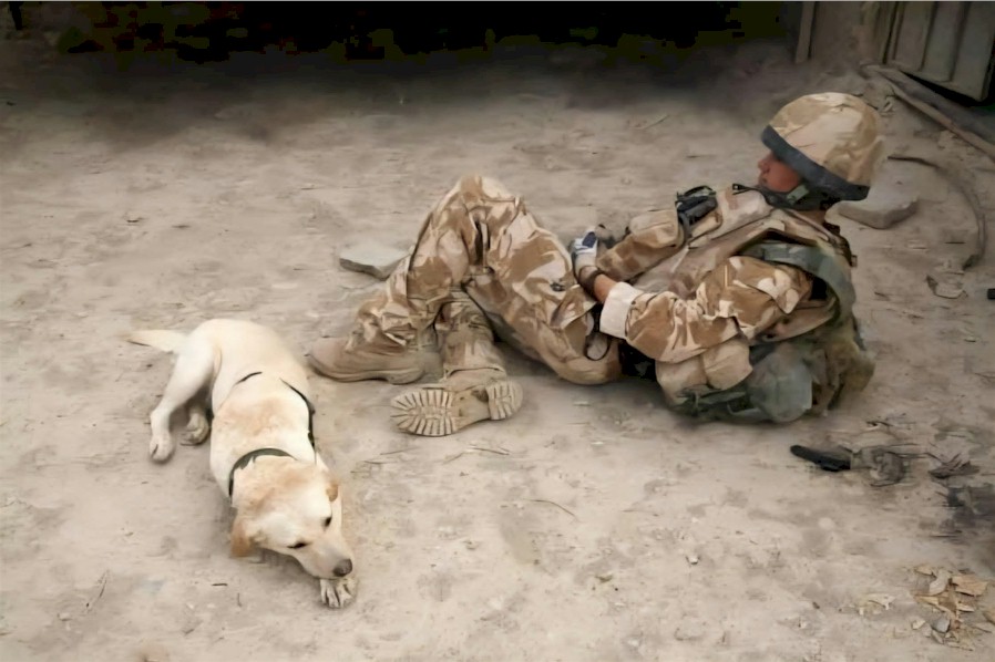 k9fallen's tweet photo. Honoring United Kingdom Royal Army Veterinary Corps Handler - Lance Corporal Kenneth Michael Rowe, 1983 - July 24, 2008, and MWD Sasha, 2004 - July 24, 2008, Both Killed In Action Afghanistan, OEF https://t.co/2e80ZjcbM5
