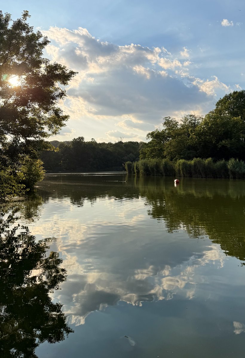 prospect_park's tweet photo. Some moments in Brooklyn's Backyard make you pause and take it all in. ๐ค๏ธ Congrats to IG user cris_mania_, whose stunning shot is our #PhotoOfTheWeek! Golden light, dramatic clouds and glassy reflections on Prospect Park Lake. Tag #ProspectPark for a chance to be featured! https://t.co/gU373KT7eN