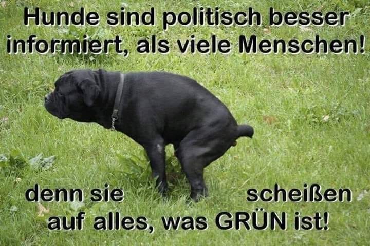 War_Wahrheit's tweet photo. @DanielVoll12251 Lasst uns die #LinksGrün*Innen abschaffen🥰☝️ https://t.co/CPAItKXNOq