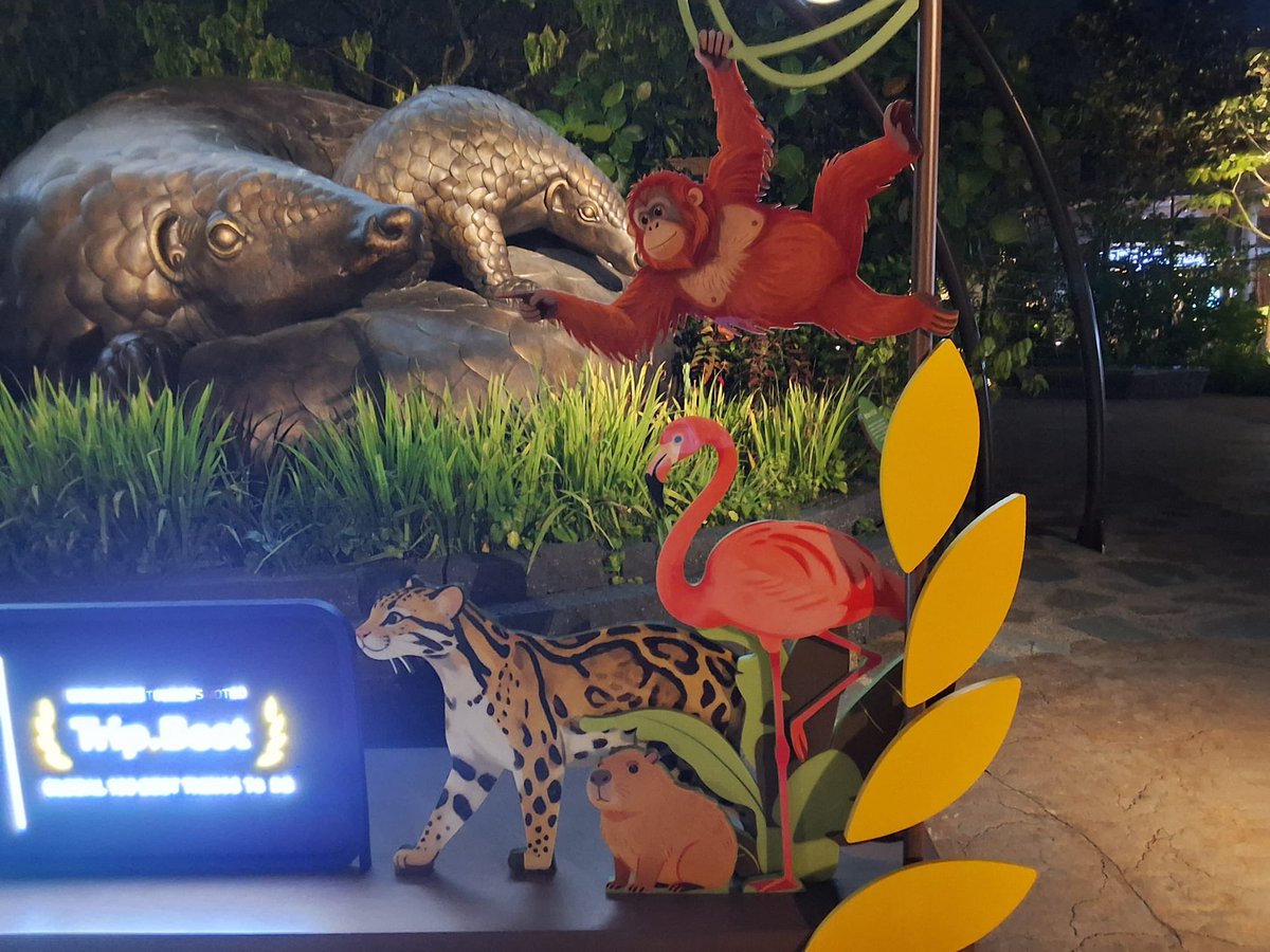 multispygirl's tweet photo. Mandai Wildlife Reserve of my friend’s recent trip https://t.co/dR7y4bH6vQ