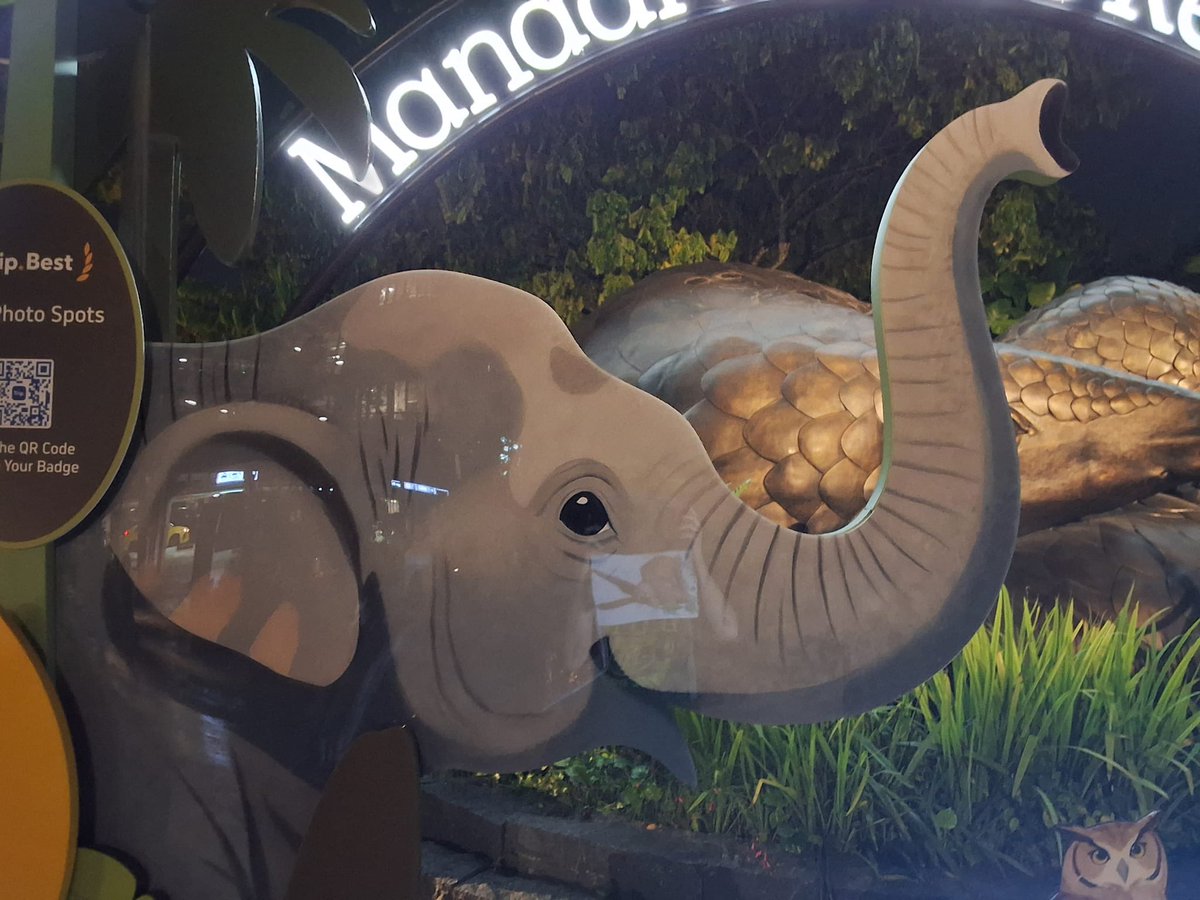 multispygirl's tweet photo. Mandai Wildlife Reserve of my friend’s recent trip https://t.co/dR7y4bH6vQ