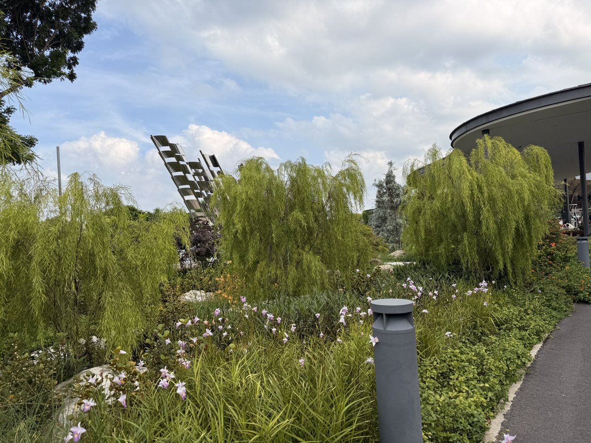 multispygirl's tweet photo. Gardens by the Bay in Singapore https://t.co/fNyNBG71Xt