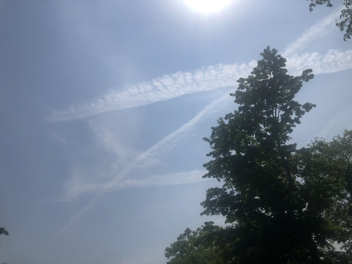 noeldkendall's tweet photo. Zorro been flying. https://t.co/Ol7SYPjTr3