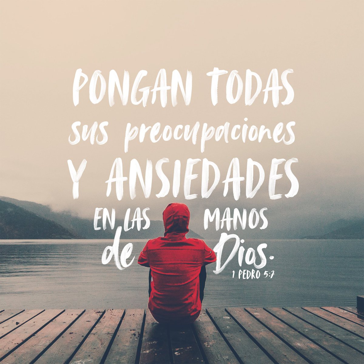 SheAnahi's tweet photo. @TaaamWy https://t.co/7rVCR5fge7