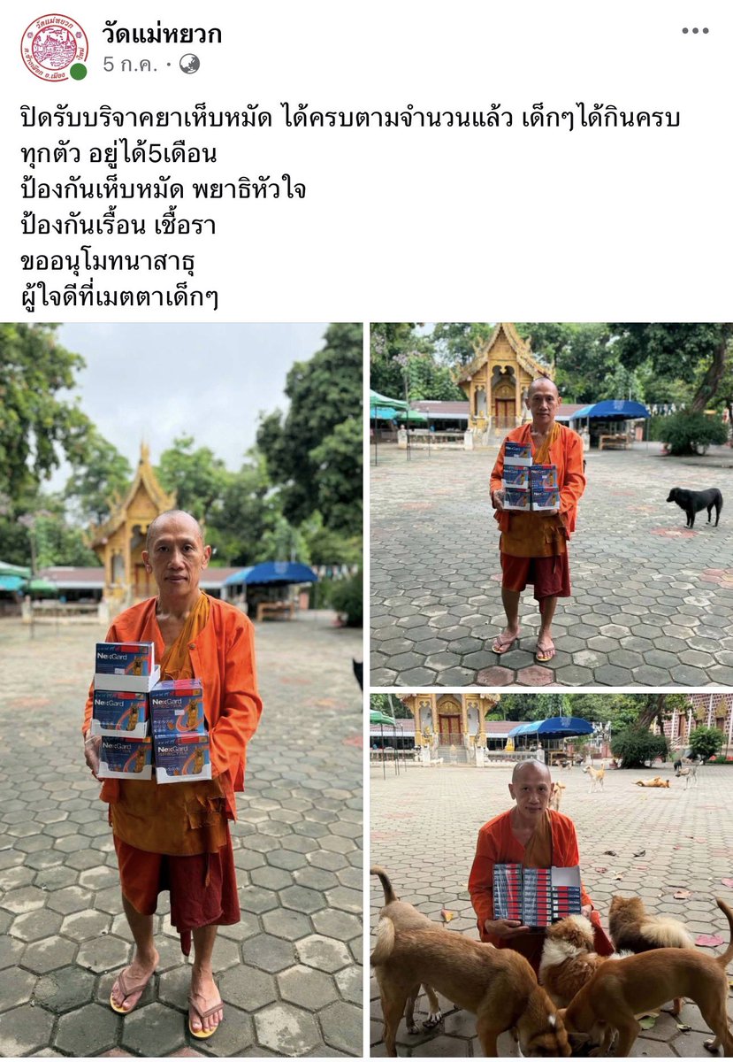 PpYouknowme's tweet photo. ตอนแรกที่เห็นโพสนี่ก็โกรธนะ ไม่พาไปหาหมอ จะเลี้ยงทำไม แต่พอรู้ว่าเป็นวัด เข้าใจเลย เพราะเคยเห็นโพสวัดแม่หยวก โพสว่ามีรถคันนึงเอาหมาเข้ามาปล่อย แล้วหมาที่วัดก็เยอะมากๆๆๆๆ อยู่แล้วอ่ะ (ถ้าใครอยากทำบุญอาหารทั้งหมาและแมว ของใช้ บริจาคได้นะ) https://t.co/siDjj0HDln