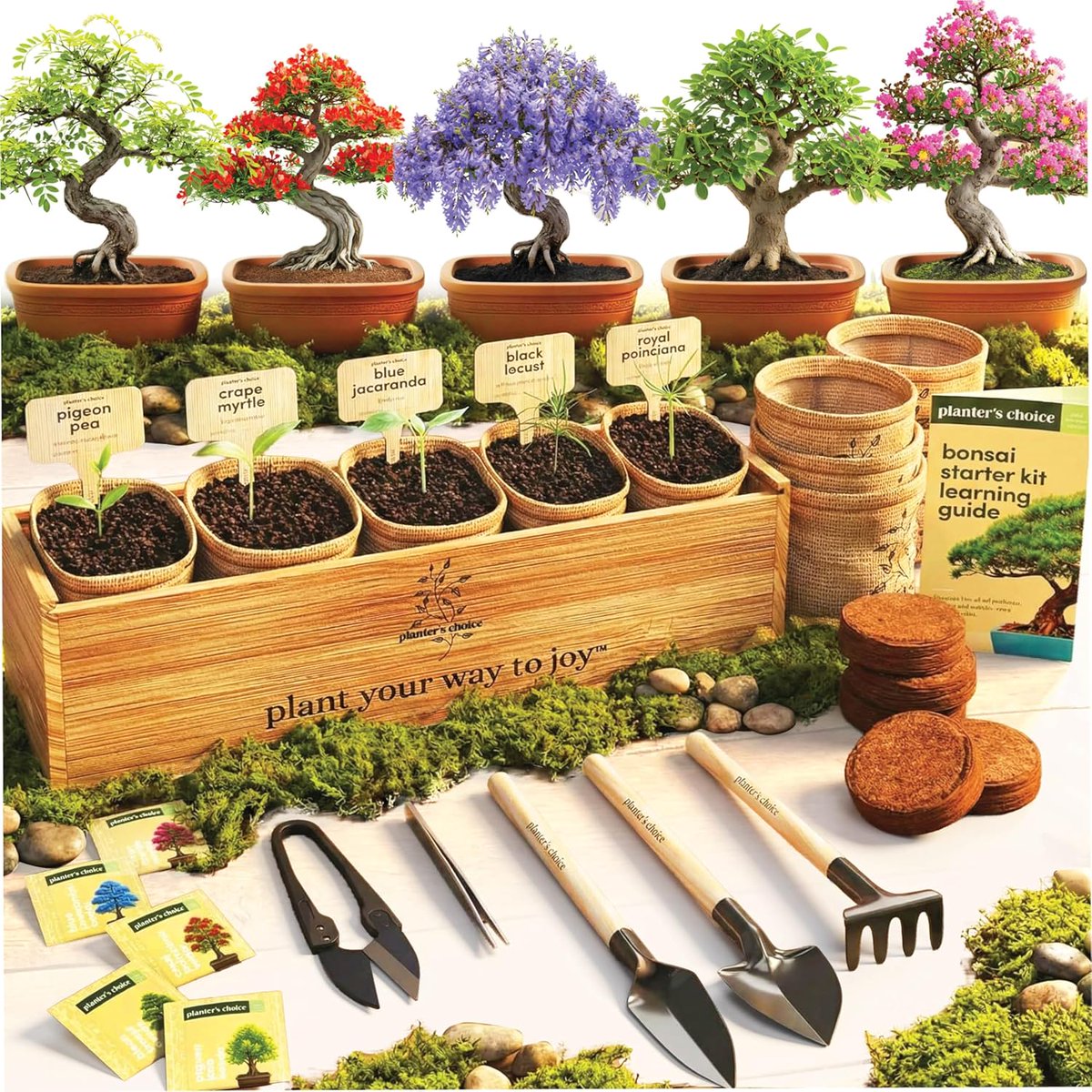 maanabdullah600's tweet photo. Unique Hobby Gift Gardening Lovers
The Planter's Choice Bonsai Tree Starter Kit is a complete DIY gardening set designed to help users grow beautiful bonsai trees from seed in the comfort of their home. https://t.co/KXD8WzQRsX https://t.co/fBJD6RECqv